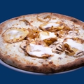 Campagnola