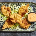Chicken won ton x5