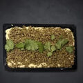 Houmous Bassar