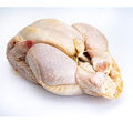 Whole chicken