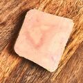 Foie gras slice