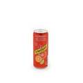 Schweppes Agrum